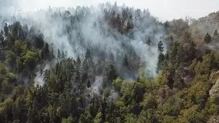 Кадры с дрона – лесной пожар в Боржоми