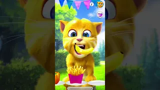 Talking Ginger 2 🍕🍒🍎 | my talking ginger cat | Talking Ginger 2 eat with me |