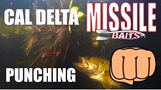 California Delta Fishing: Punching With Missile Baits and Paycheck Baits