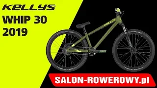 rower Kellys Whip 30 2019 www.salon-rowerowy.pl