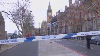 Лондонский террорист был под присмотром разведслужб, но его не подозревали в экстремизме