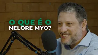 Como identificar o Nelore Myo?