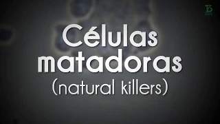 Célula Matadora