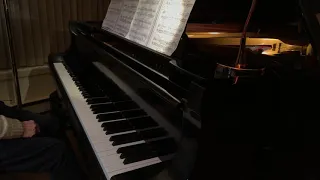 Schubert Serenade  transcribed by Franz Liszt   Pianist  Brian King