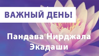 САМЫЙ ВАЖНЫЙ ДЕНЬ ИЮНЯ 🌱 ПАНДАВА НИРДЖАЛА ЭКАДАШИ