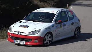 Pol Castells - Jose Luis Alonso | Peugeot 206 XS | Rally Ciutat d'Igualada 2019