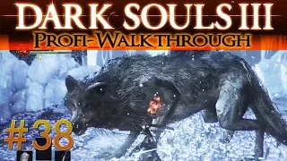 Dark Souls 3 DLC Ashes of Ariandel Profi Walkthrough | Meister Grabhüter & Großwolf