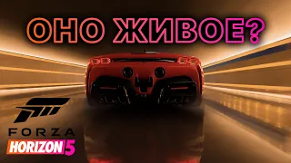 Жива ли FORZA HORIZON 5 после выхода новой FORZA MOTORSPORT?