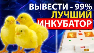 Инкубаторы  квочка ми-30-1 и квочка ми-30-1-э отличия