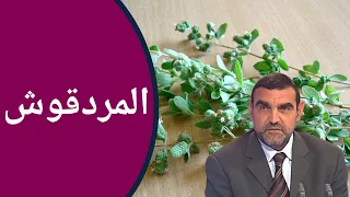 المردقوش / لضبط الهرمونات، للتوتر والأرق، لخفض السكر والضغط / محمد الفايد / نخل ورمان / mohamed faid