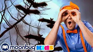 BLIPPI | Música do Halloween | Vídeos Educativos | Vídeos para Crianças