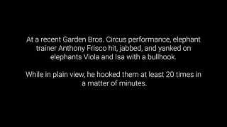 Elephant abuse at garden bros circus?