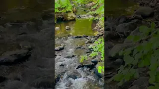 Stara River , Zakarpattia 🇺🇦