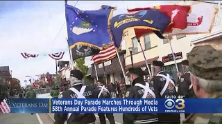 Veterans Day Parade Marched Through Media