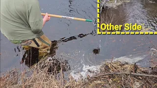 Draining Flooded Road By Unclogging Culvert With Huge Whirlpool At The Beavers Abandoned Ghost Woods