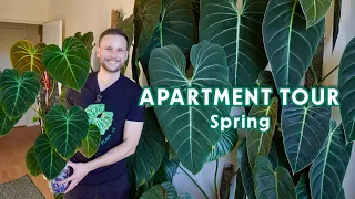 HOUSEPLANT TOUR - it’s spring & all my plants are thriving