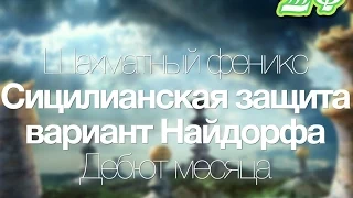 Сицилианская защита. Вариант Найдорфа №3. Все острее и острее