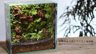 How to make a moss wall in a terrarium #23