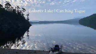 Lobster Lake | Catching Togue