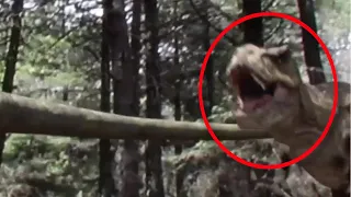 10 DINOSAURS CAUGHT ON CAMERA IN REAL LIFE! - Jurassic World: Dominion