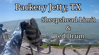 Packery Jetty - Sheepshead Limit & Red Drum