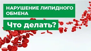 Нарушение липидного обмена. Что делать? | Диагностика и коррекция.