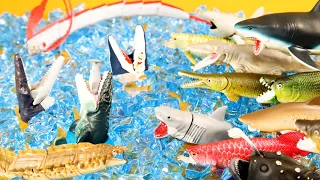 Scary Shark & dinosaur Monster Fish Toys