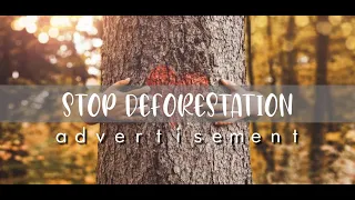 Stop Deforestation | ADVERTISEMENT