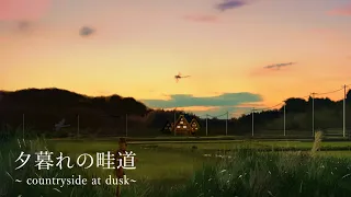 [環境音/ASMR]夕暮れの畦道/用水路の音,ひぐらしの声、クビキリギリス/6時間/@SoundForest-main