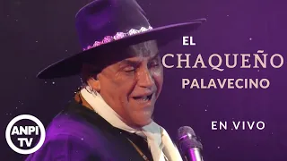 EL CHAQUEÑO PALAVECINO EN ANTEL ARENA DE MONTEVIDEO.