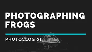 Photographing frogs  - photovlog 01