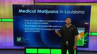 Medical Experts: Medical Marijuana in Louisiana