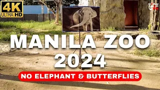 [4K] Same Zoo Different Vibe | Manila Zoo Walk Tour 2024 (No Elephant & Butterflies)