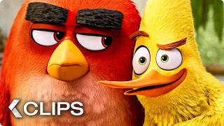 THE ANGRY BIRDS MOVIE 2 All Clips & Trailers (2019)