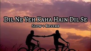 Dil Ne Yeh Kaha Hain Dil Se - | Slowed And Reverb | Udit Narayan | Slow Cloud