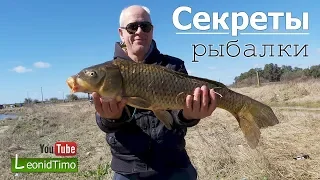 Секреты рыбалки. За КРУПНЫМ САЗАНОМ...