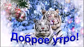 С добрым Зимним Утром Вас Друзья!  Красивое пожелание с Добрым утром! Чекалин.