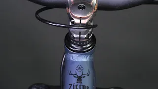 NS Bikes - Zircus 2020 Bike - REAL WEIGHT!! Hub sound