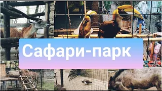 Прогулка по Сафари-парку в Краснодаре #краснодар#парк#зоопарк