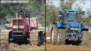 RIPASSO PER SEMINA ERBA MEDICA | FIATAGRI 95-55 + NEW HOLLAND TM165 | F.LLI CAMPLESE