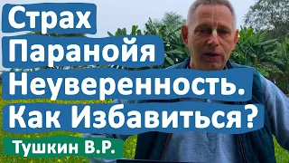 СТРАХИ И ПАРАНОЙЯ, НЕУВЕРЕННОСТЬ КАК ИЗБАВИТЬСЯ? • ВАСИЛИЙ ТУШКИН