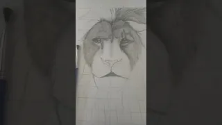 Drawing lion king (mufasa) #shorts #ytshorts #inprogress