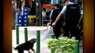 Policial joga spray de pimenta em um cachorro