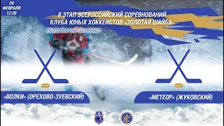 II этап Всероссийских соревнований Клуба юных хоккеистов «Золотая шайба». ХК «Волки» - ХК «Метеор»