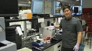 Next Generation Sequencing 4: Checking Nucleic Acids with an Agilent BioAnalyzer - Eric Chow (UCSF)