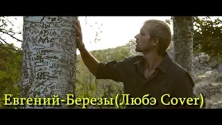 Евгений - Березы (Cover Любэ)