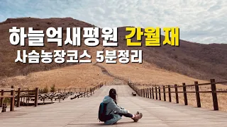 간월재 트레킹 코스 | 하늘억새평원 | 10월 11월 억새평원 | 간월재 휴게소 | 100대 명산 도전기 | 영남알프스 | 간월재 최단코스 | 간월재 사슴농장코스 | 5분 코스정리