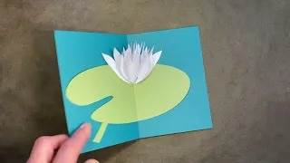 pop-up water lily