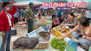 Ta Phoi Market - now sells rare wild animals and many Northwest herbal agricultural products