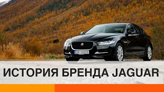 Почему компания Jaguar едва не потерпела крах? — ICTV